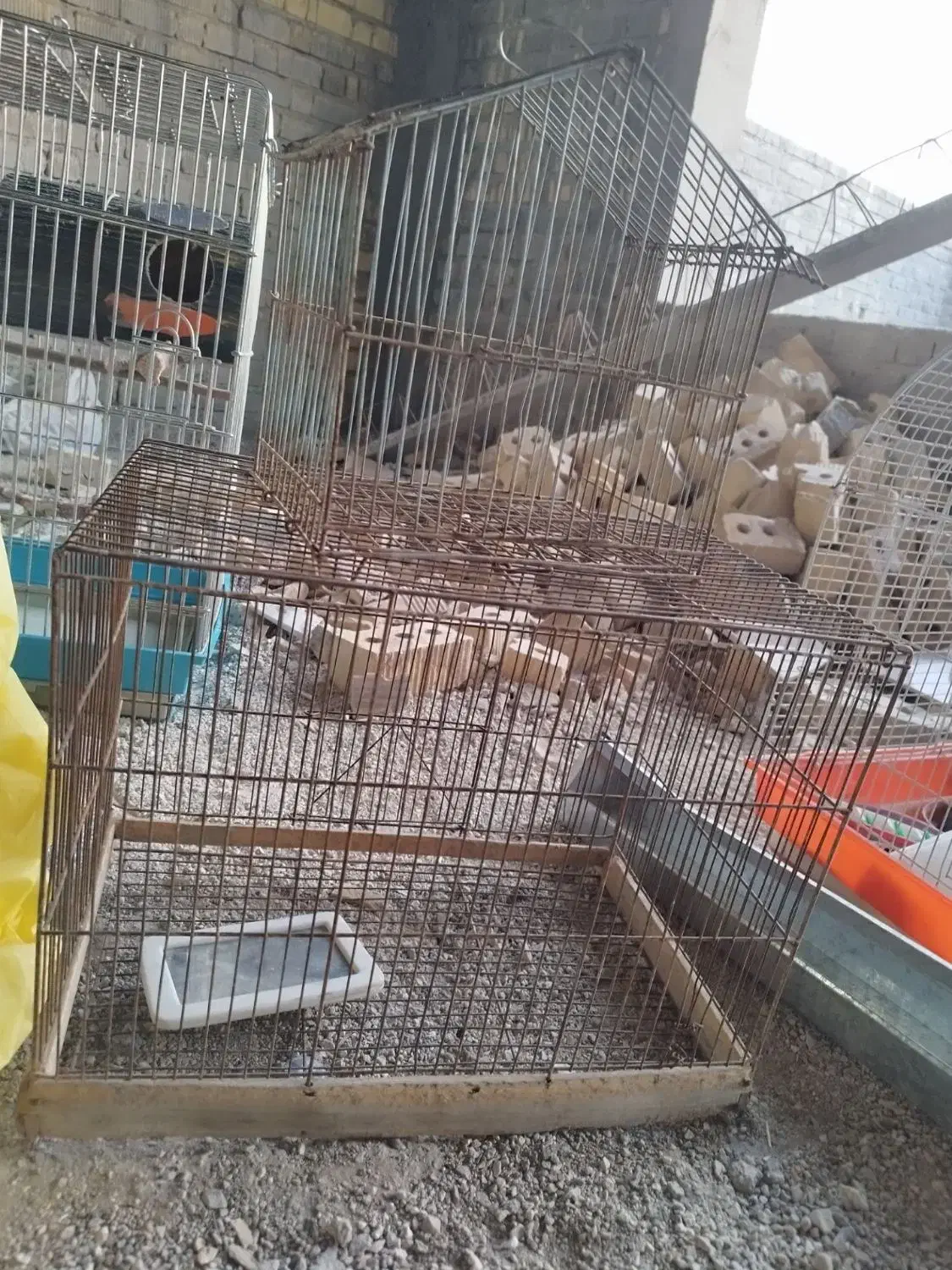 قفس پرنده|لوازم جانبی حیوانات|شیراز, وزیرآباد|دیوار