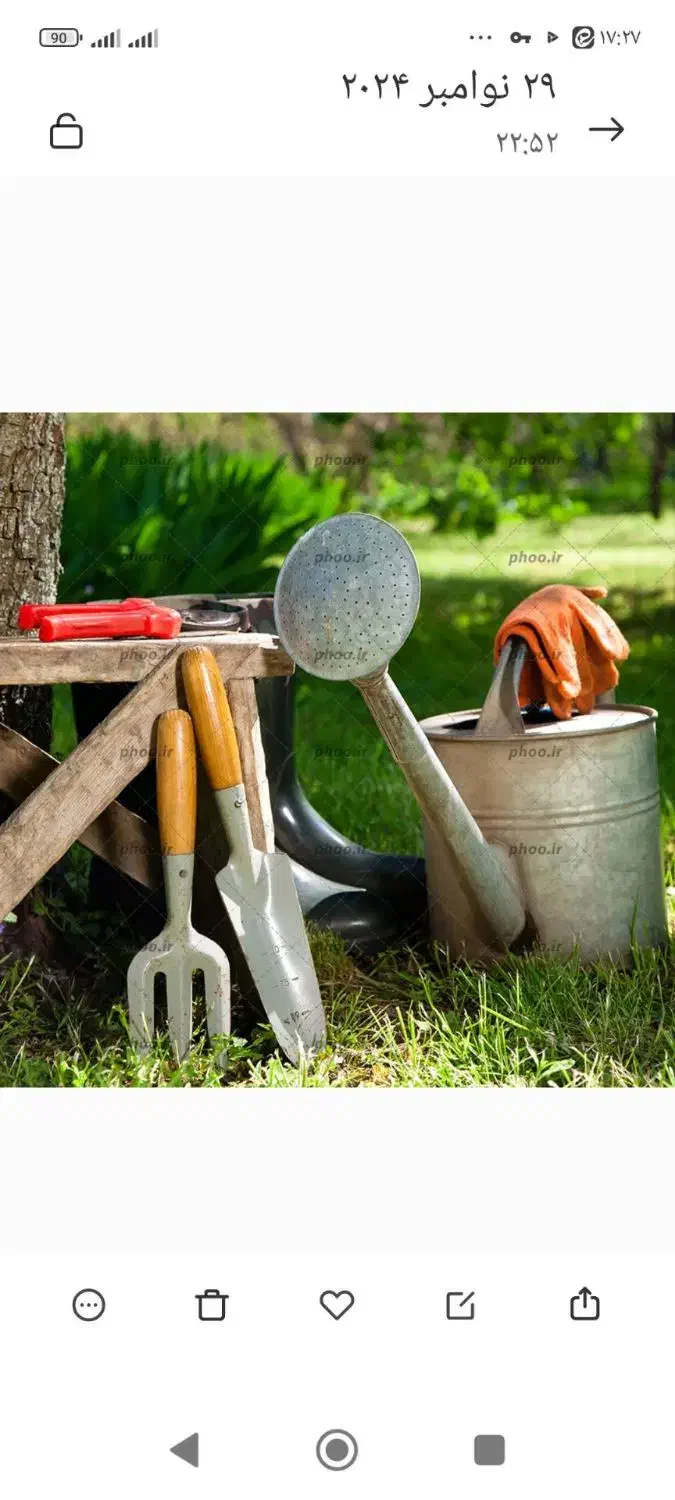 باغبانی|خدمات باغبانی و درختکاری|گنبد کاووس, |دیوار