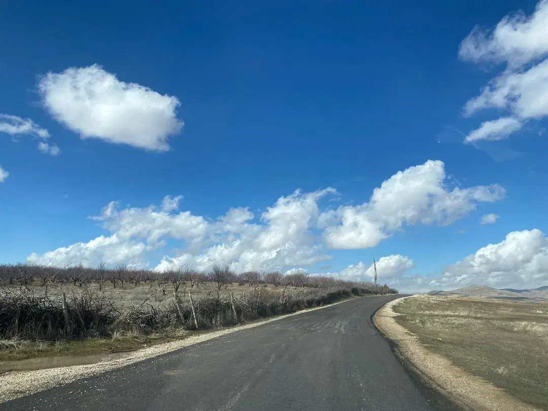 زمین باغچه قرهچمن|فروش زمین و ملک کلنگی|تیکمه داش, |دیوار