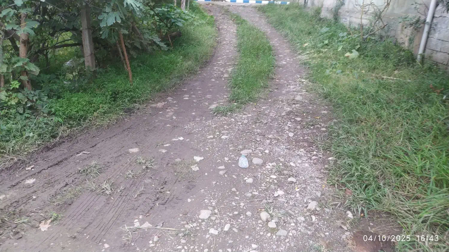 ۳۵۰متر زمین مسکونی متری ۲۸۵۰مقطوع فوری|فروش زمین و ملک کلنگی|رضوانشهر, |دیوار