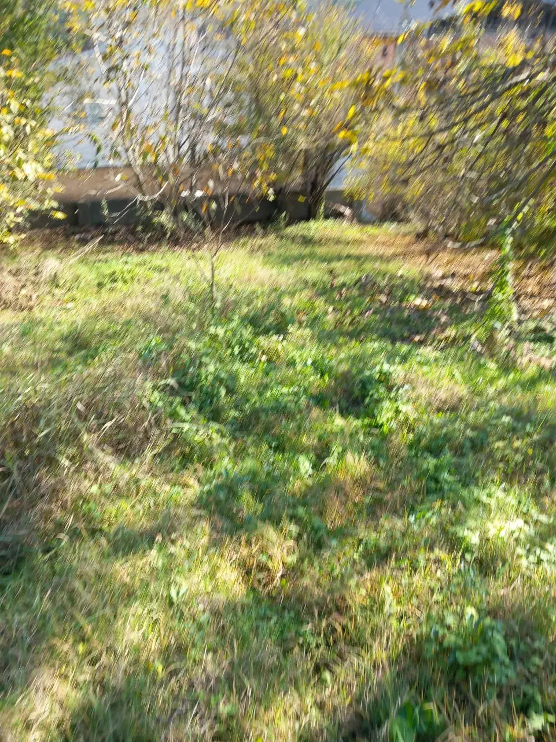 زمین روستائی|فروش زمین و ملک کلنگی|زیرآب, |دیوار