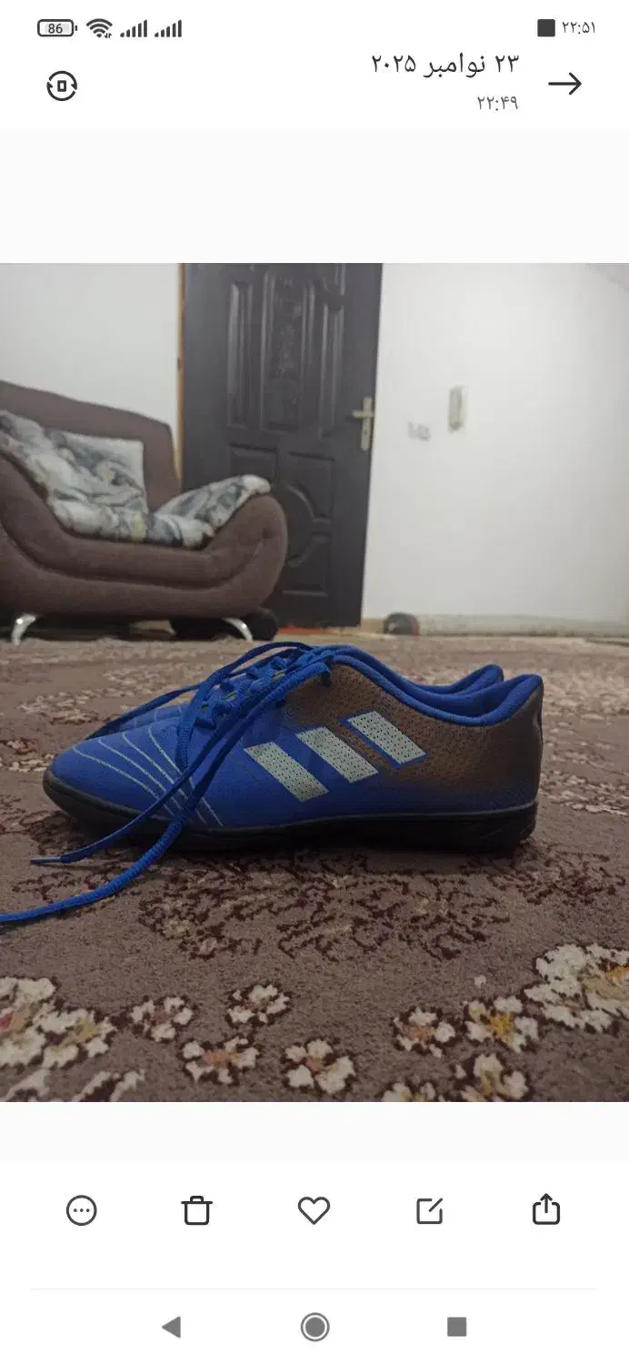 کفش ورزشی|تجهیزات ورزشی|رشت, جانبازان|دیوار