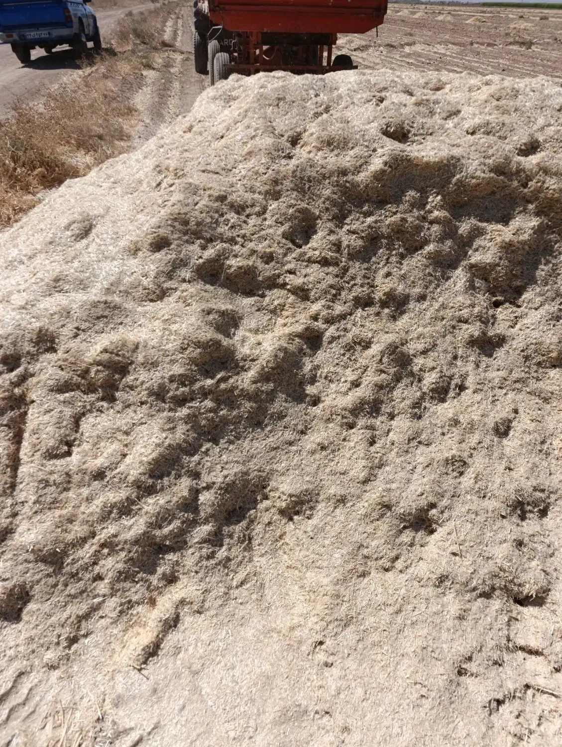 کاه گندم|لوازم جانبی حیوانات|تربت جام, جامرود|دیوار