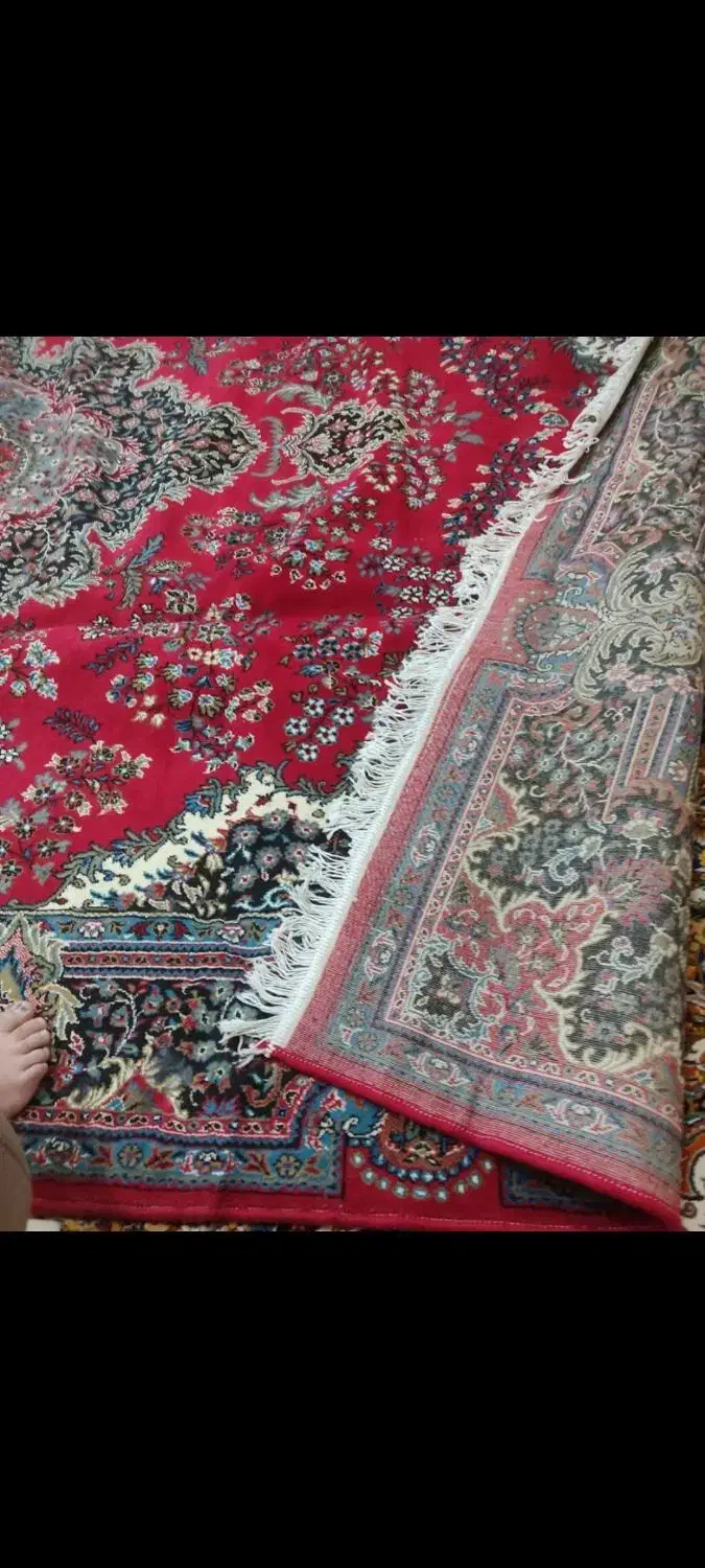 فرش|فرش|بندرعباس, |دیوار