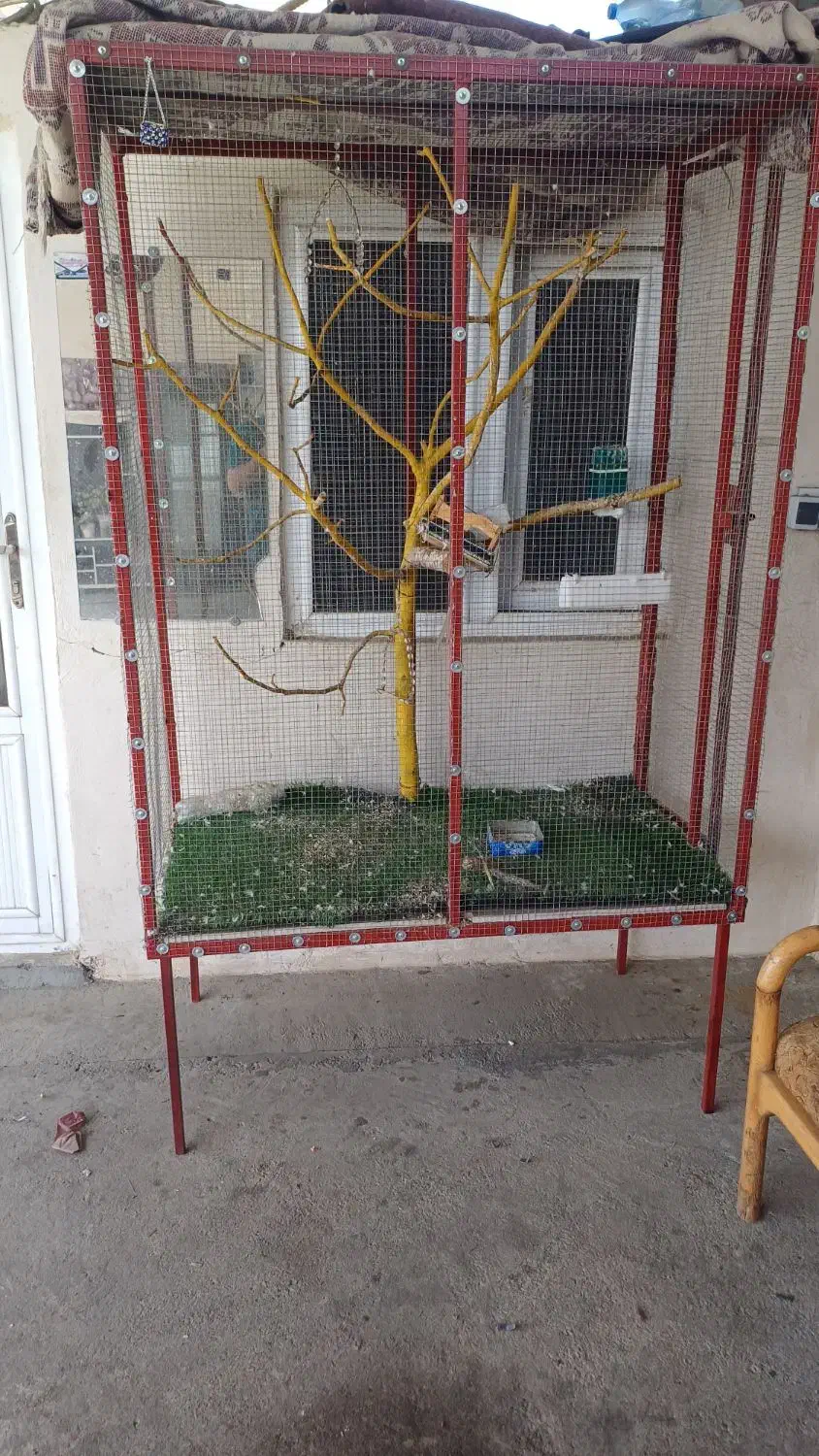 قفس|لوازم جانبی حیوانات|طارم, |دیوار