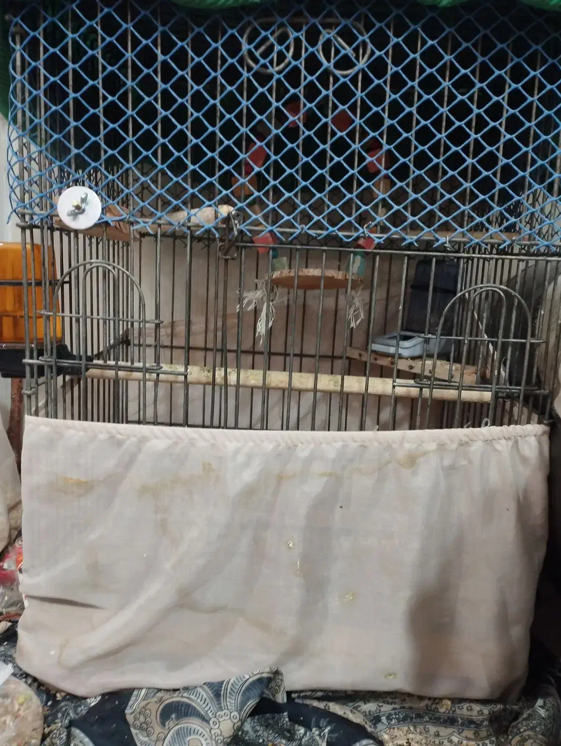 گرینچیک عروس هلندی قفس|پرنده|اندیشه, اندیشه فاز ۱|دیوار