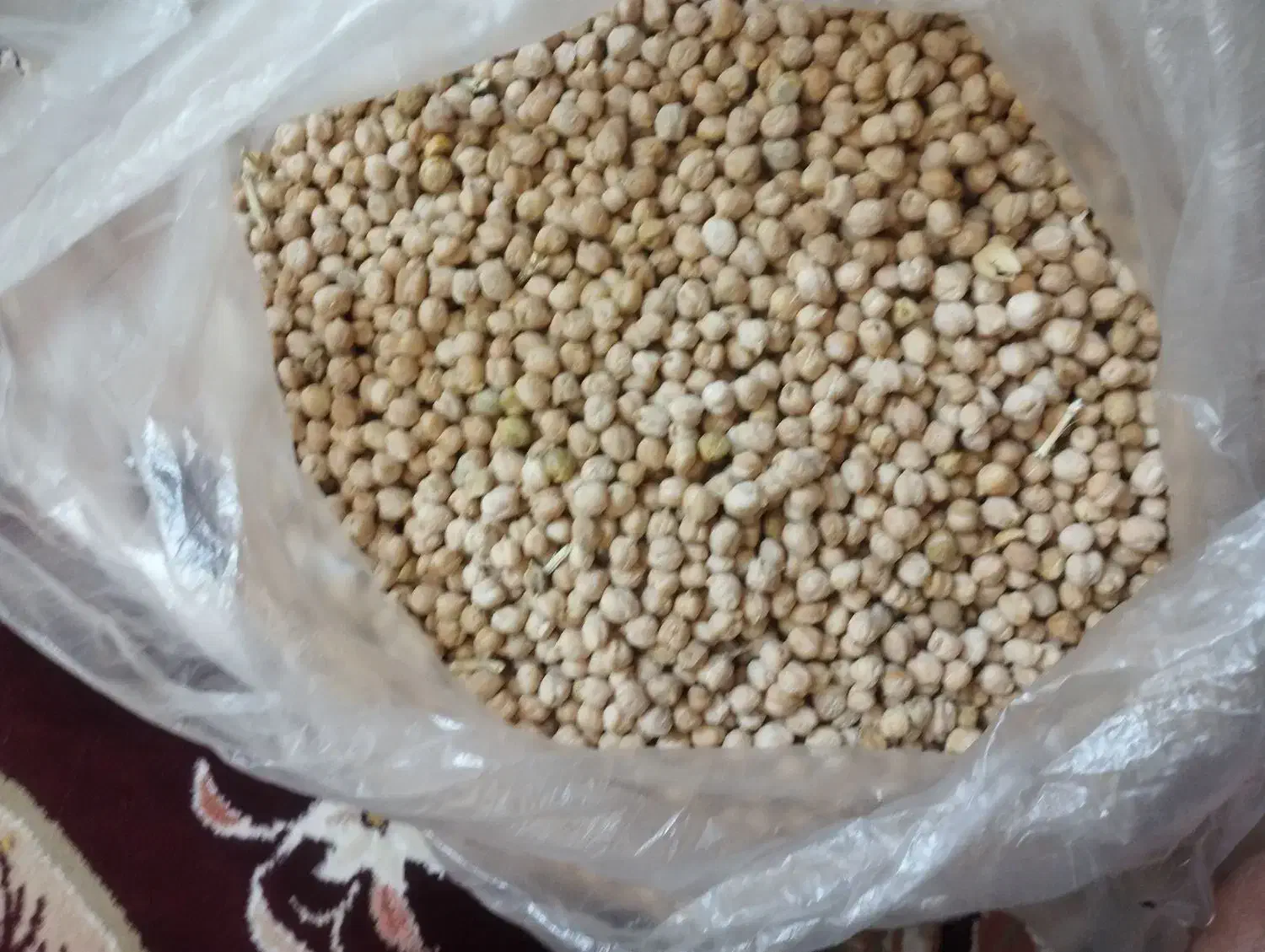 نخود|خوردنی و آشامیدنی|نیشابور, شهید بهشتی|دیوار