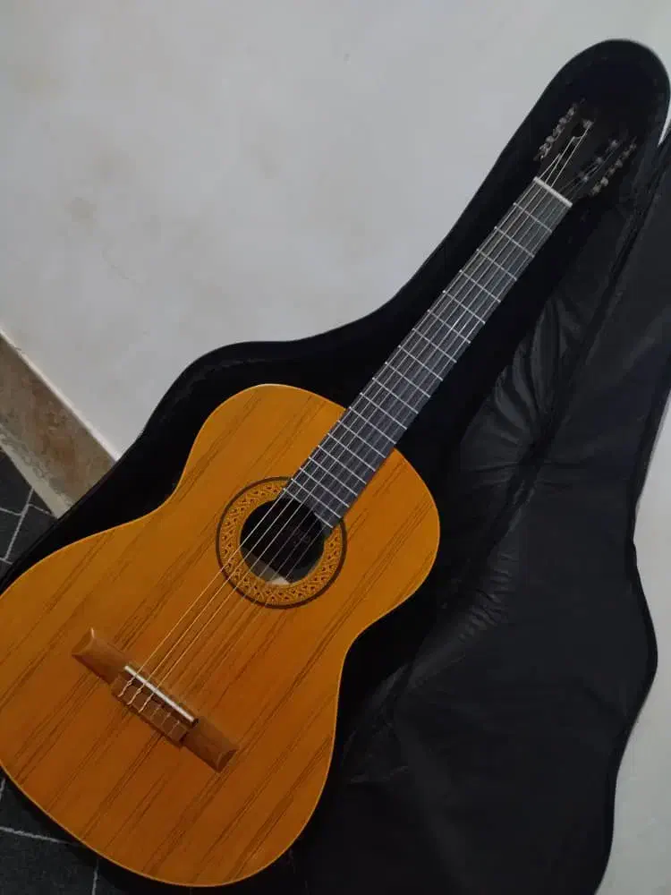 فروش فوری گیتار|گیتار، بیس، امپلیفایر|بوکان, |دیوار