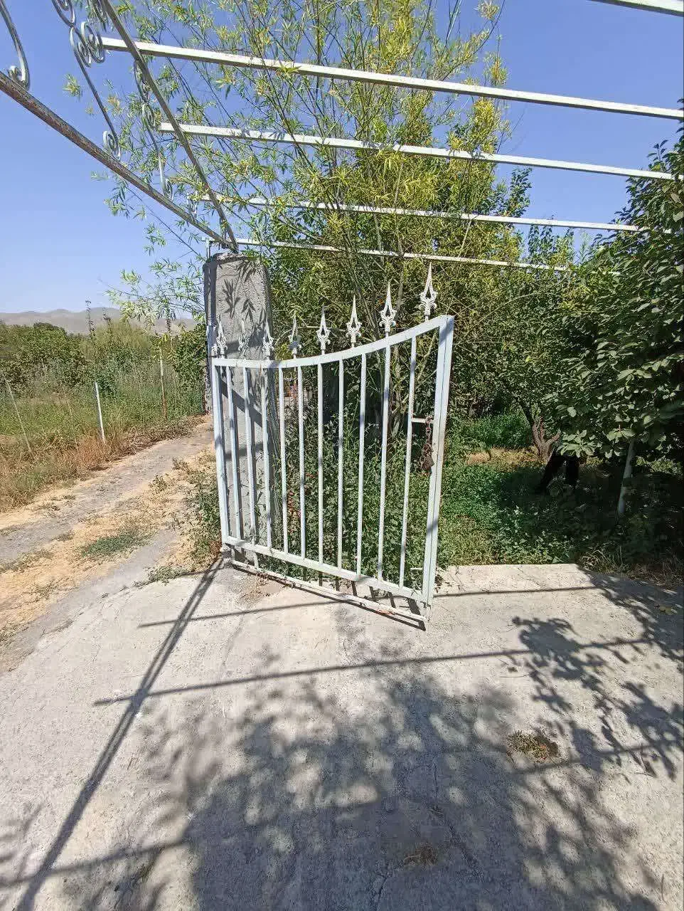 فروش باغ در فیرورق نزدیک جاده|فروش زمین و ملک کلنگی|فیرورق, |دیوار