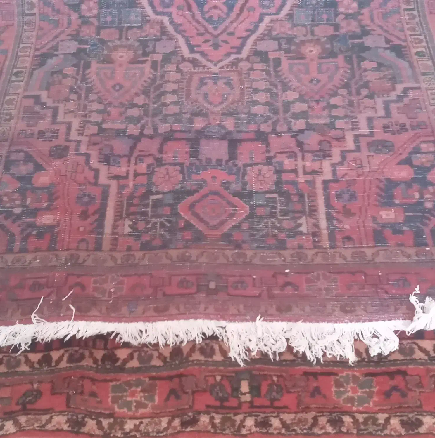 فرش دستباف|فرش|بروجرد, |دیوار