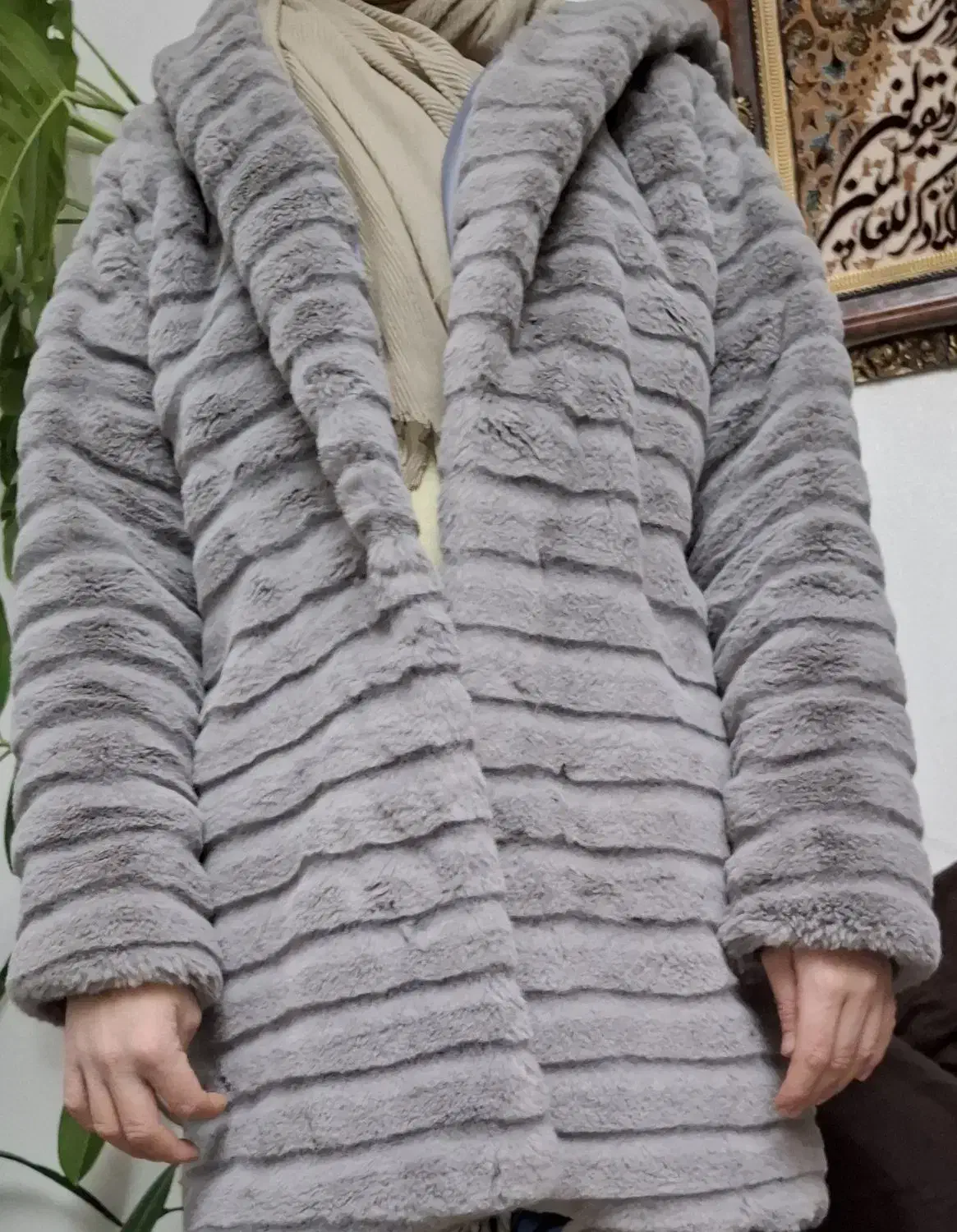 پالتوپشمی|لباس|شاهینشهر, حافظ شمالی|دیوار