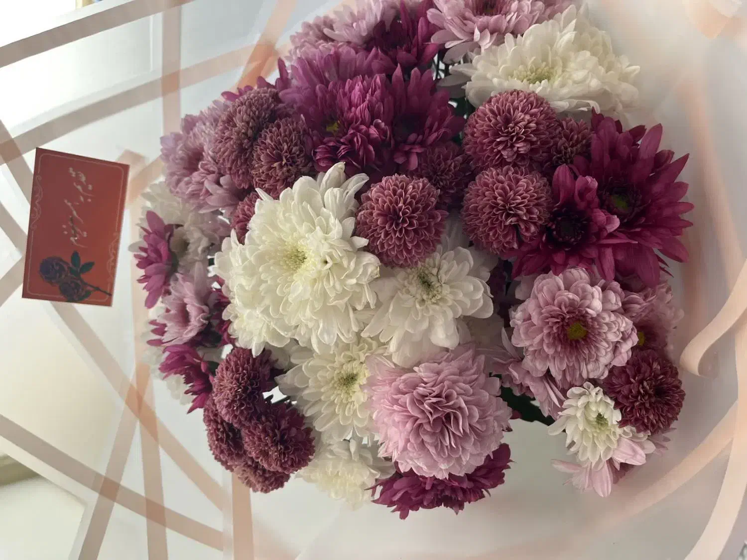 گل طبیعی|گل و گیاه طبیعی|تربتحیدریه, بی بی حسنیه|دیوار