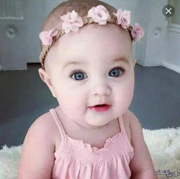 تخمک اهدایی|فعالیت داوطلبانه|مشهد, قائم|دیوار