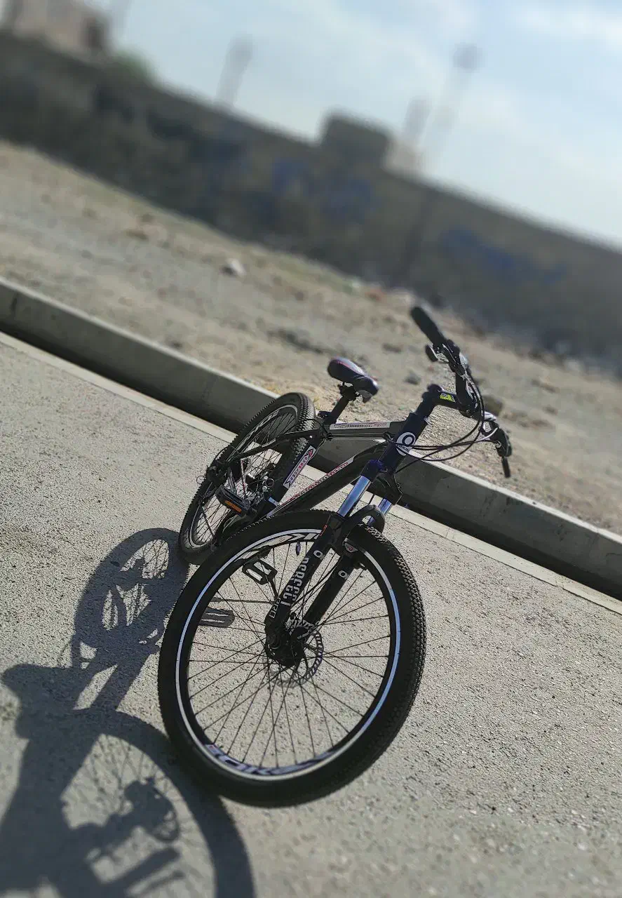 دوچرخه|دوچرخه، اسکیت، اسکوتر|قدس, شهرقدس|دیوار