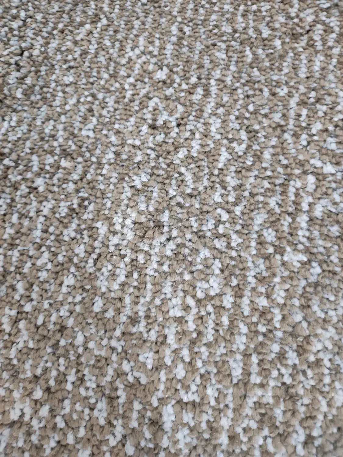 پالاز موکت نو با تراکم بالا|موکت|چمران, |دیوار