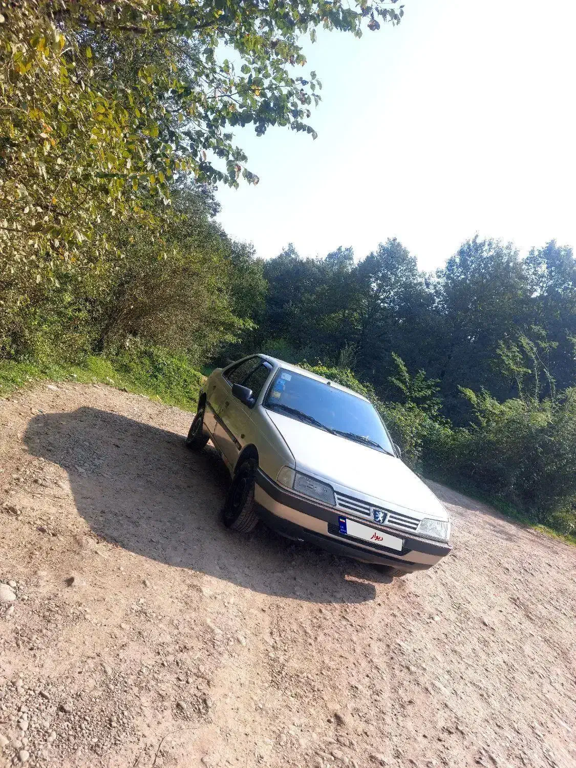 پژو 405 مدل 84|خودرو سواری و وانت|رشت, جانبازان|دیوار