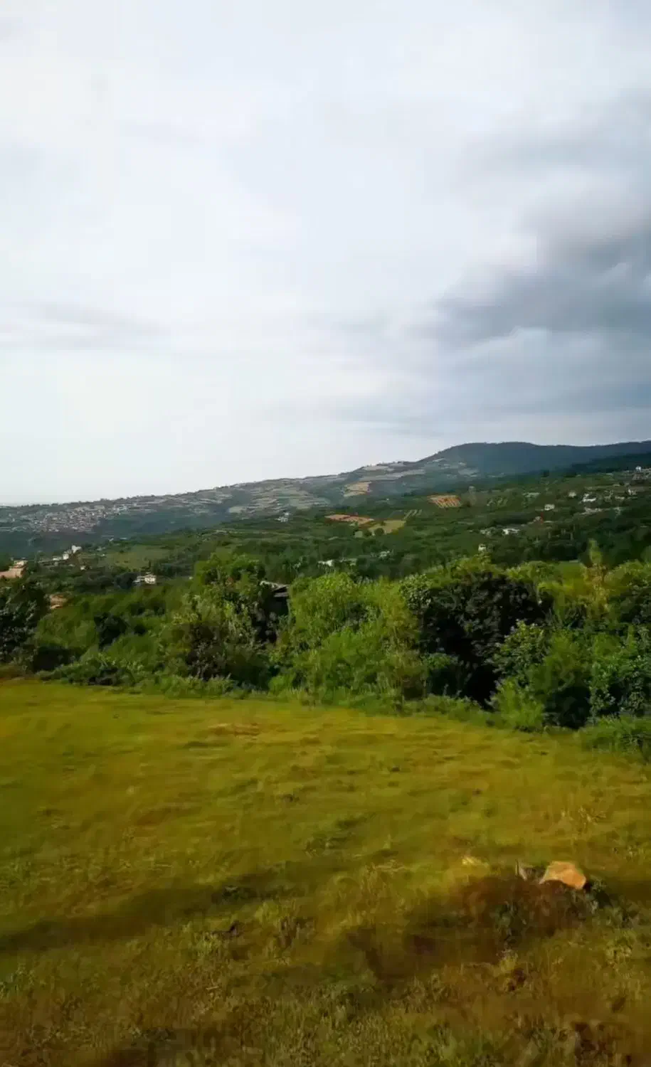 فرصتی مناسب برای سرمایه گذاری( زمین باغی بهشهر)|فروش زمین و ملک کلنگی|بهشهر, |دیوار