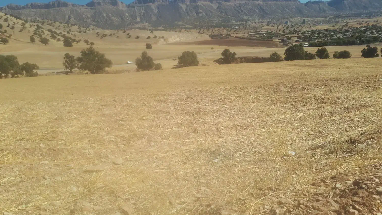 زمین کشاورزی|فروش زمین و ملک کلنگی|چوار, |دیوار