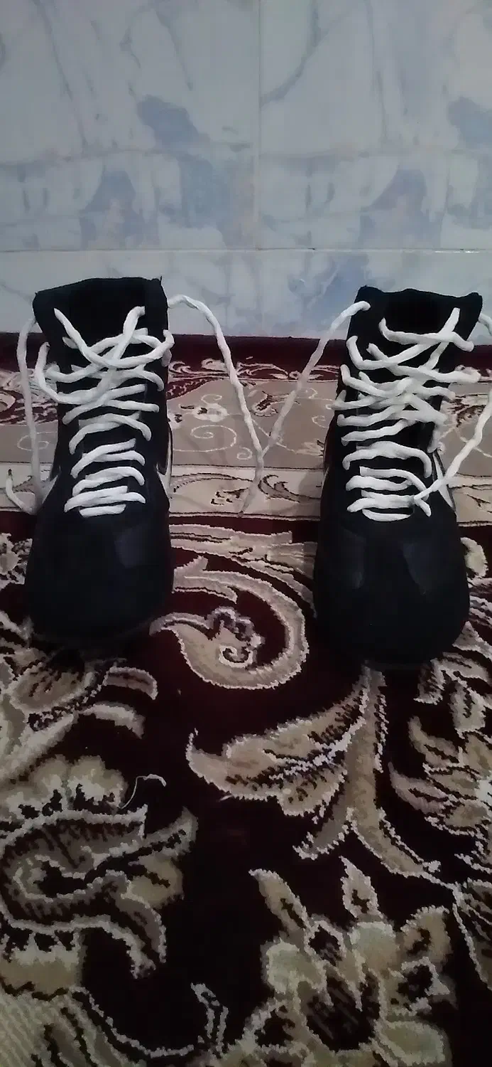 کفش بوکس|کیف، کفش، کمربند|باخزر, |دیوار