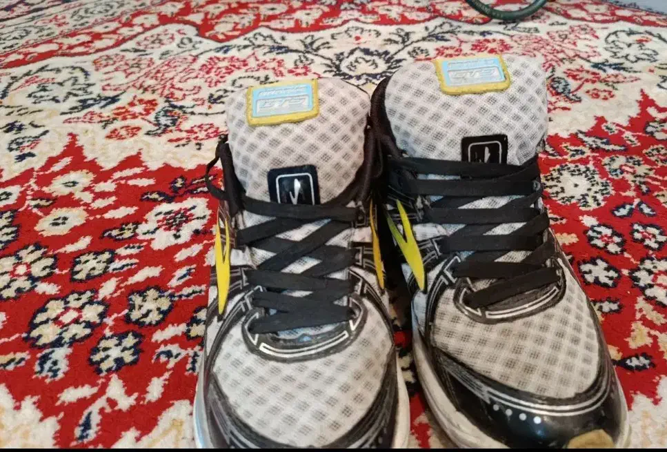 کفش|کیف، کفش، کمربند|شیراز, جوادیه|دیوار