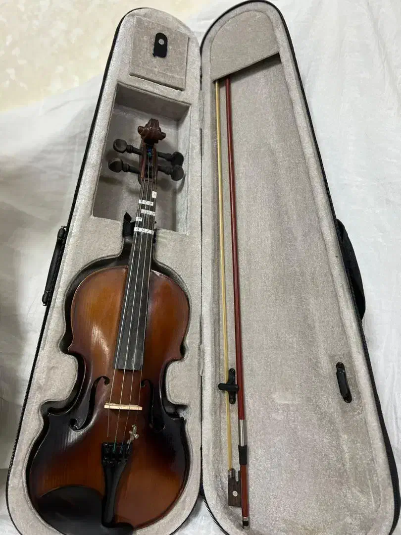 ویالون آموزشی|ویولن|آستارا, |دیوار