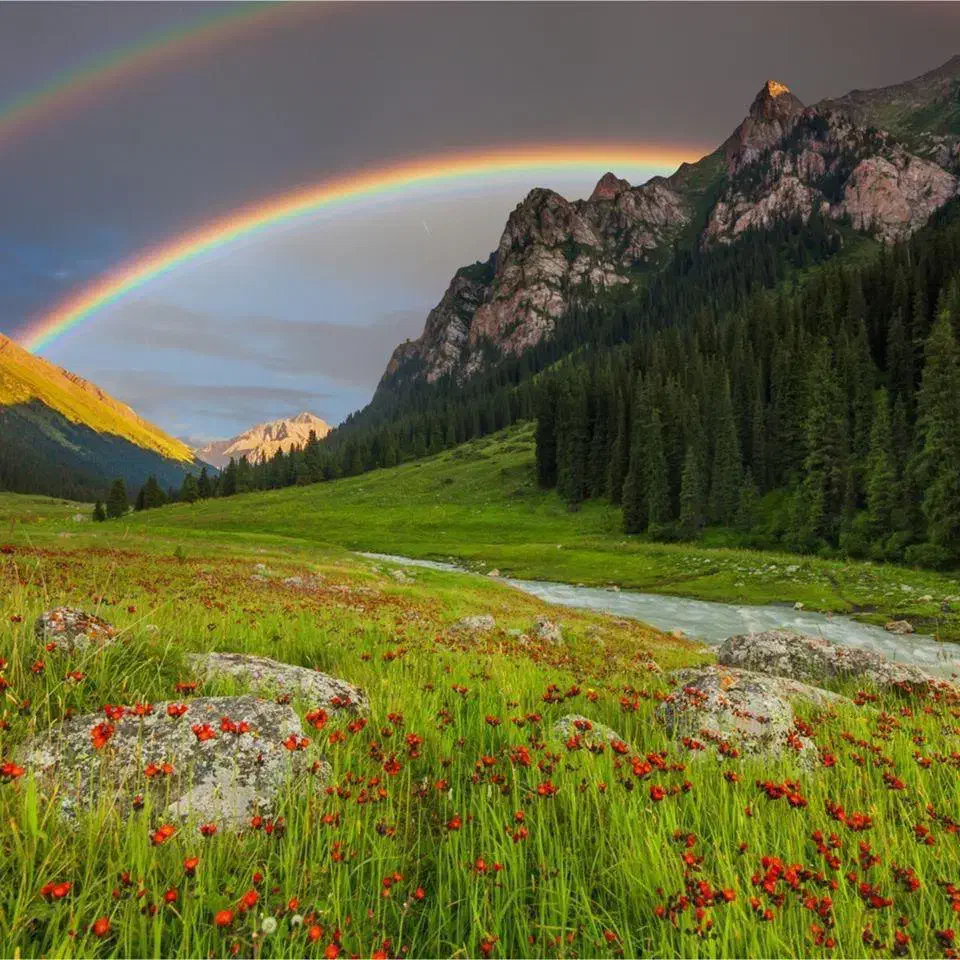 همسفر قشم|فعالیت داوطلبانه|بیرجند, |دیوار