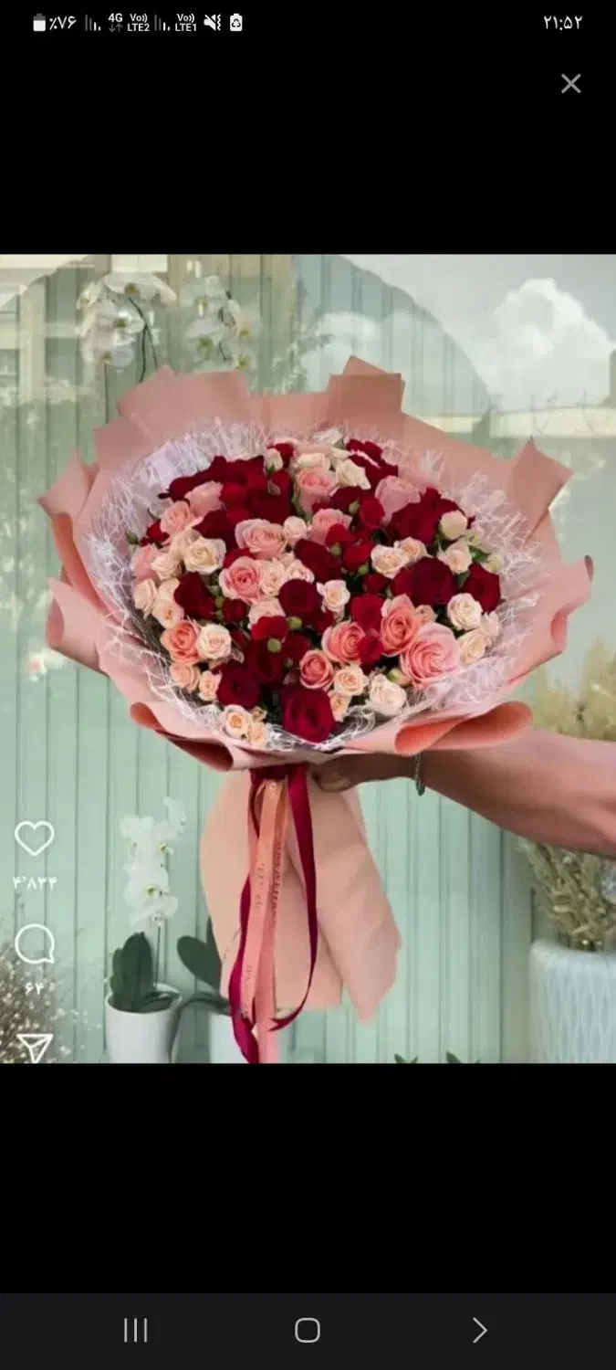گل طبیعی|گل و گیاه طبیعی|رشت, استقامت ۲|دیوار