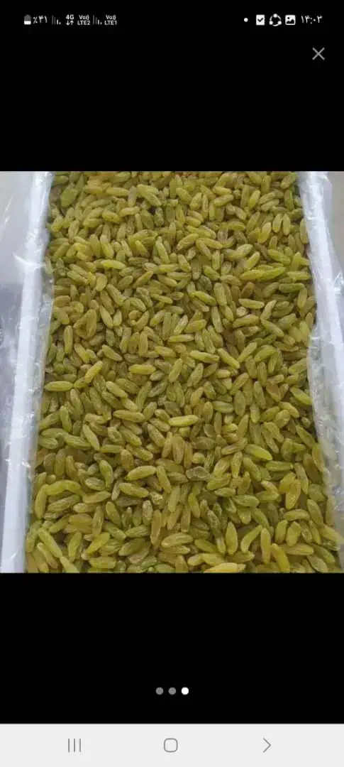 کشمش اعلا بایهترین کیفیت|عمدهفروشی|کاشمر, |دیوار