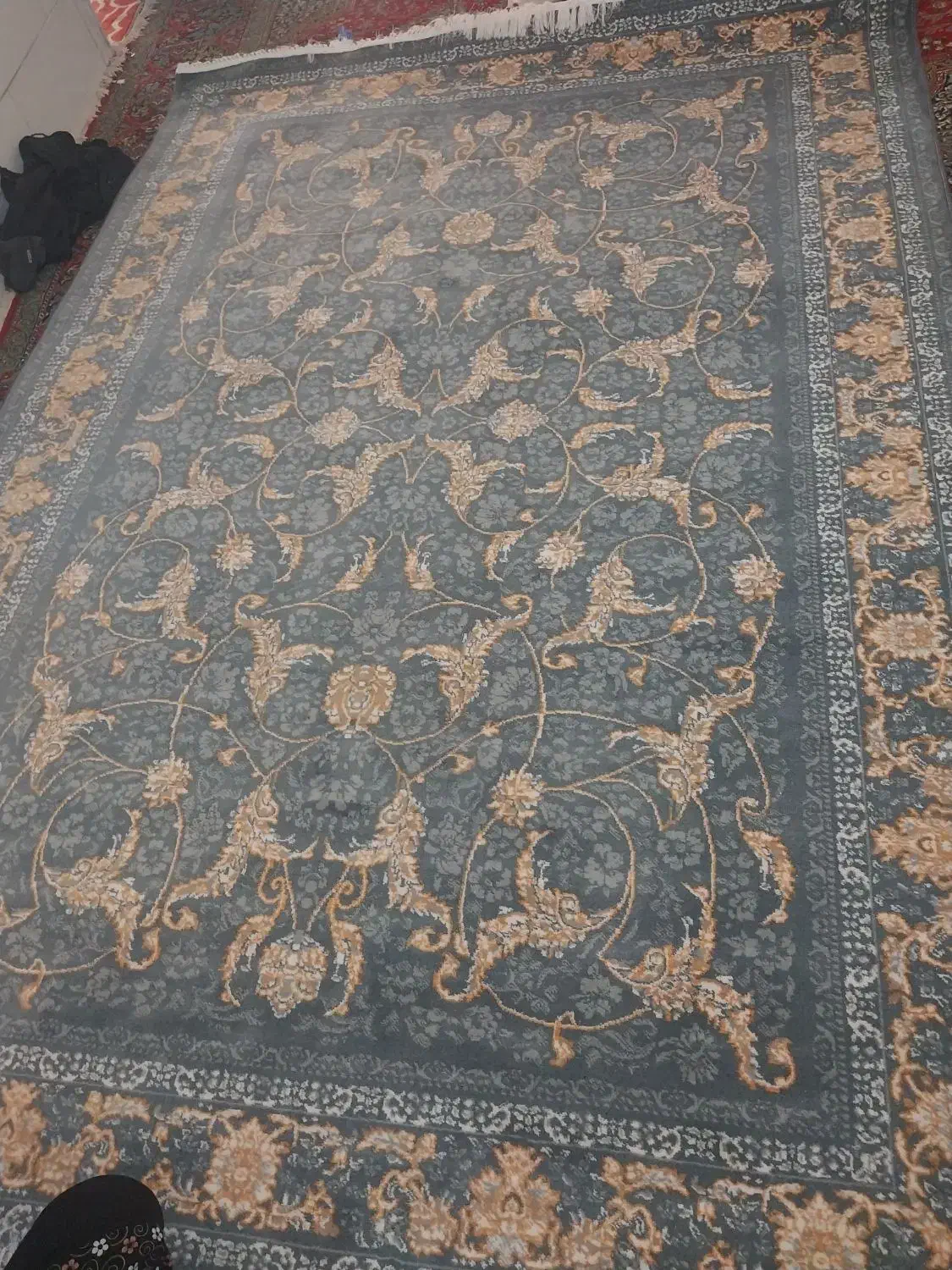 ۲عدد فرش ۶متری ۲در۳|فرش|رفسنجان, |دیوار