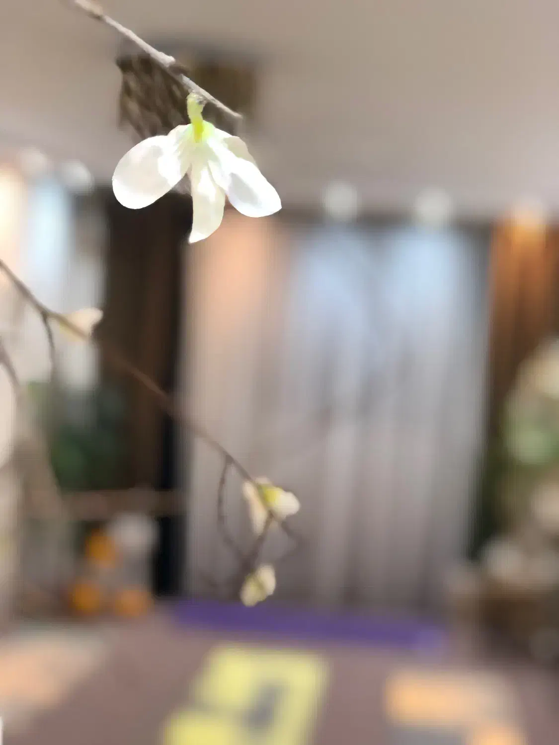 یوگا طلا|رویداد ورزشی|مرند, |دیوار