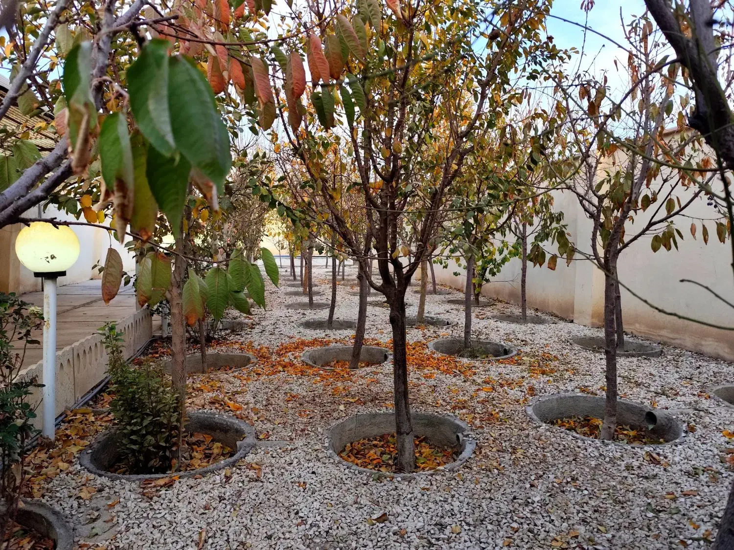 پروژه ای خاص سرمایه گذاری خاص / 500 متر باغ ویلا|فروش خانه و ویلا|محمدشهر, محمدشهر|دیوار