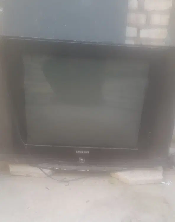 تلویزون‌|تلویزیون و پروژکتور|تربت‌حیدریه, ترمینال|دیوار