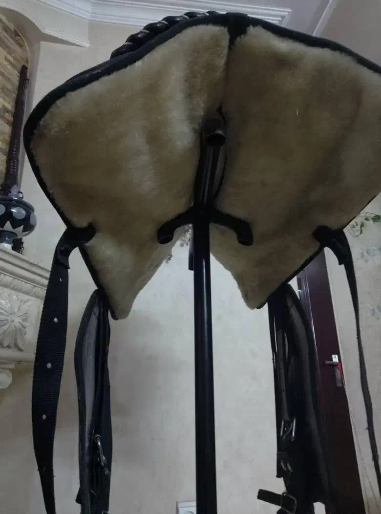 زین کابویی|اسب و تجهیزات اسب‌سواری|پاکدشت, پاکدشت (مامازند)|دیوار