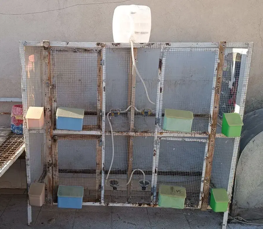 قفس|لوازم جانبی حیوانات|گناباد, |دیوار