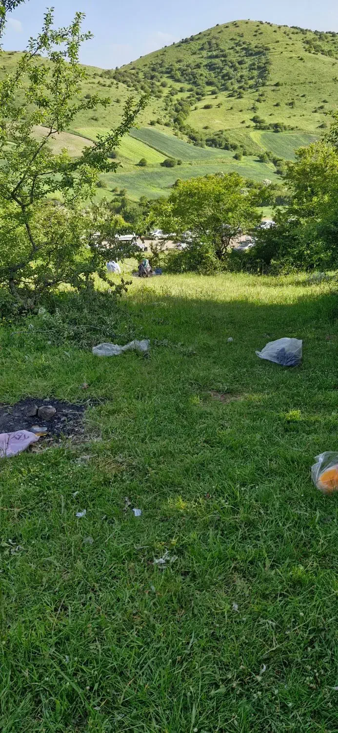 خوراک دام یونجه برای گوسفند|لوازم جانبی حیوانات|اردبیل, |دیوار