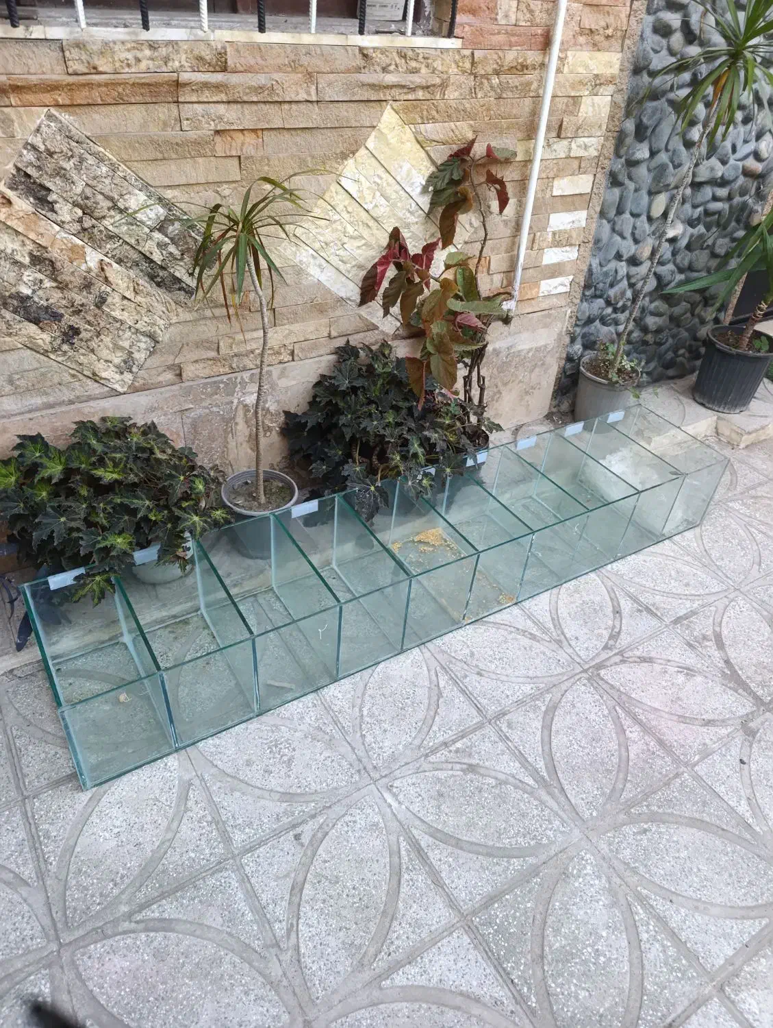 جا شیشه ایی حبوبات برای سوپر مارکت|فروشگاه و مغازه|رامسر, |دیوار