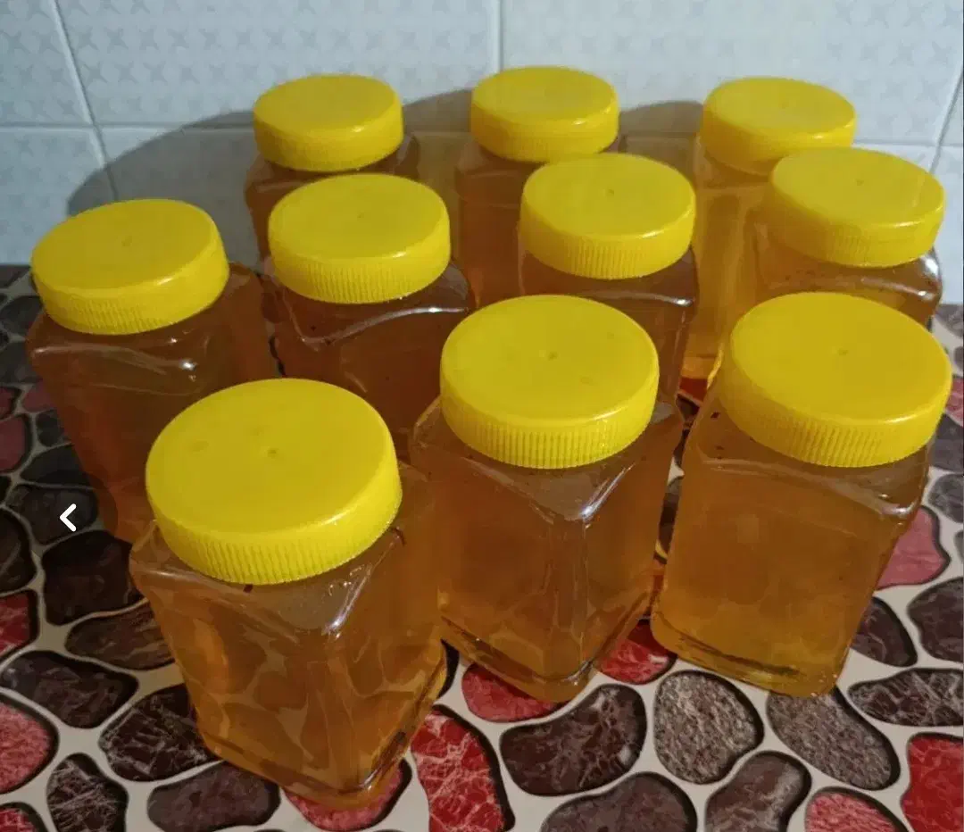 عسل گون دارویی دیابتی|خوردنی و آشامیدنی|شاهین‌شهر, فردوسی|دیوار