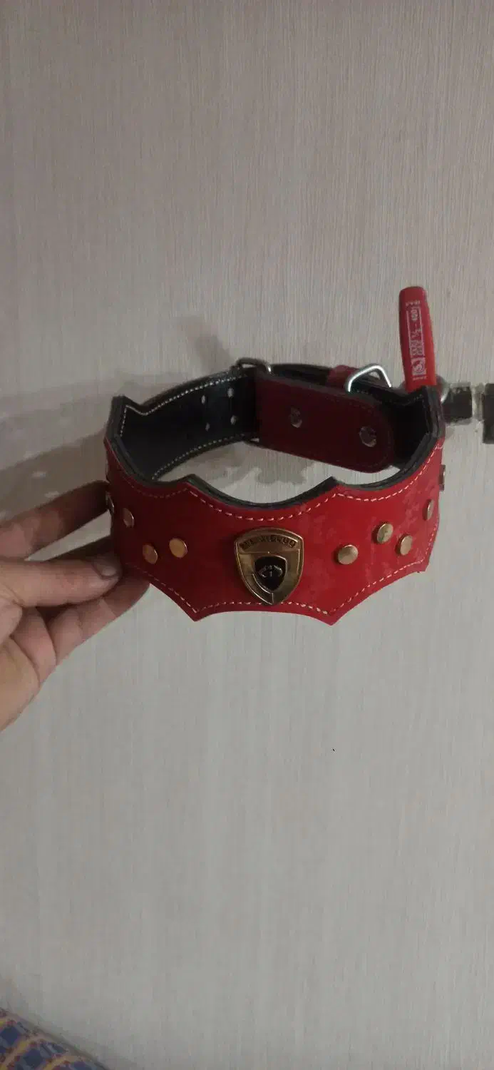 قلاده کتفی چرمی سگ،قلاده گردنی،معاوضه با گوشی،ظبط|لوازم جانبی حیوانات|نسیمشهر, |دیوار