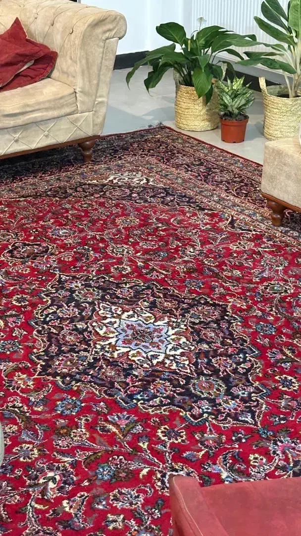 فرش دواز ده متری دستی|فرش|سلمان‌شهر, |دیوار