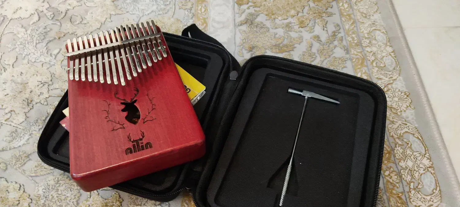 کالیمبا آلتین|پیانو، کیبورد، آکاردئون|قم, امامزاده ابراهیم|دیوار