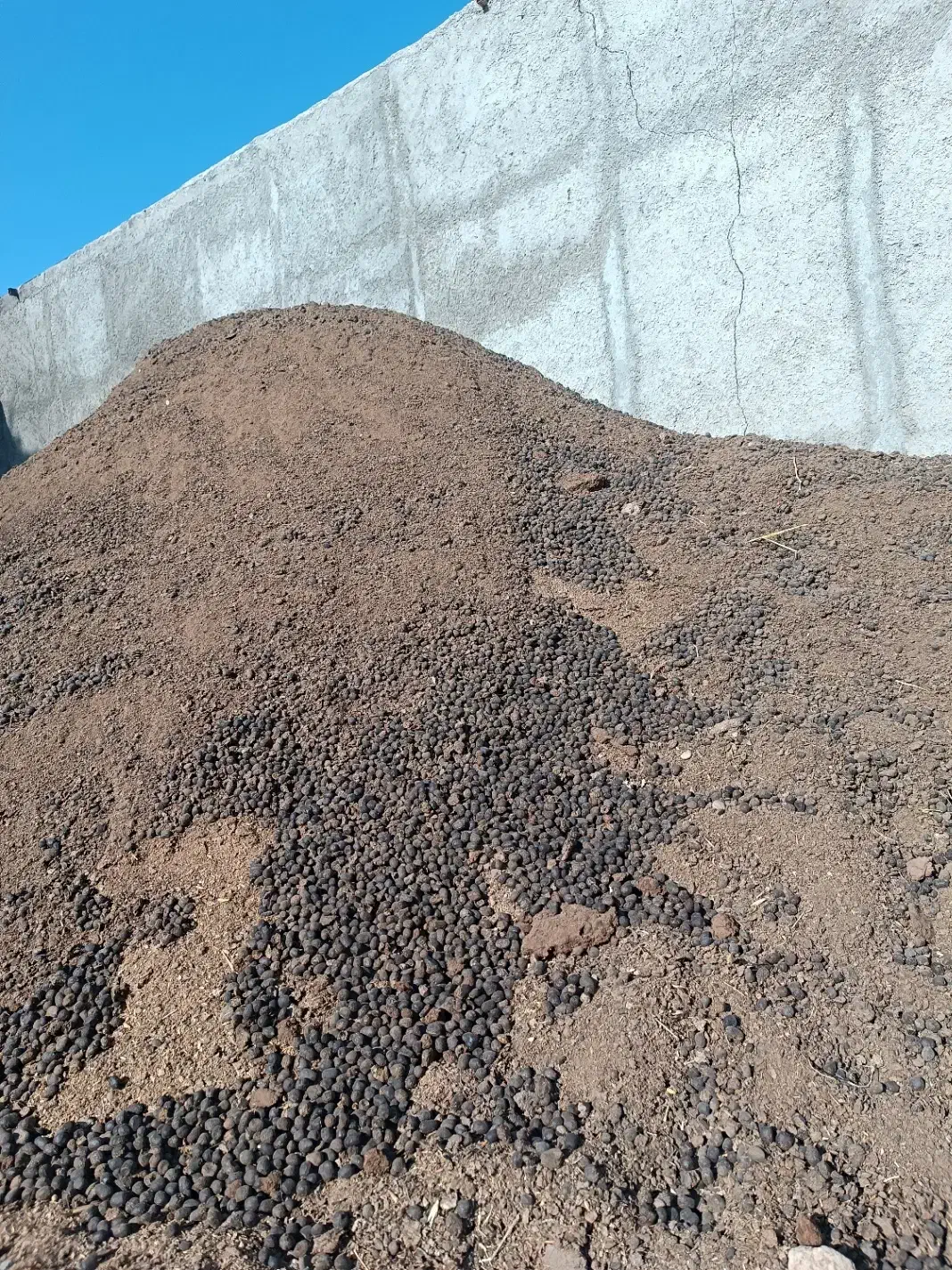 کود گوسفندی بجنورد|خدمات باغبانی و درختکاری|قائم‌شهر, |دیوار