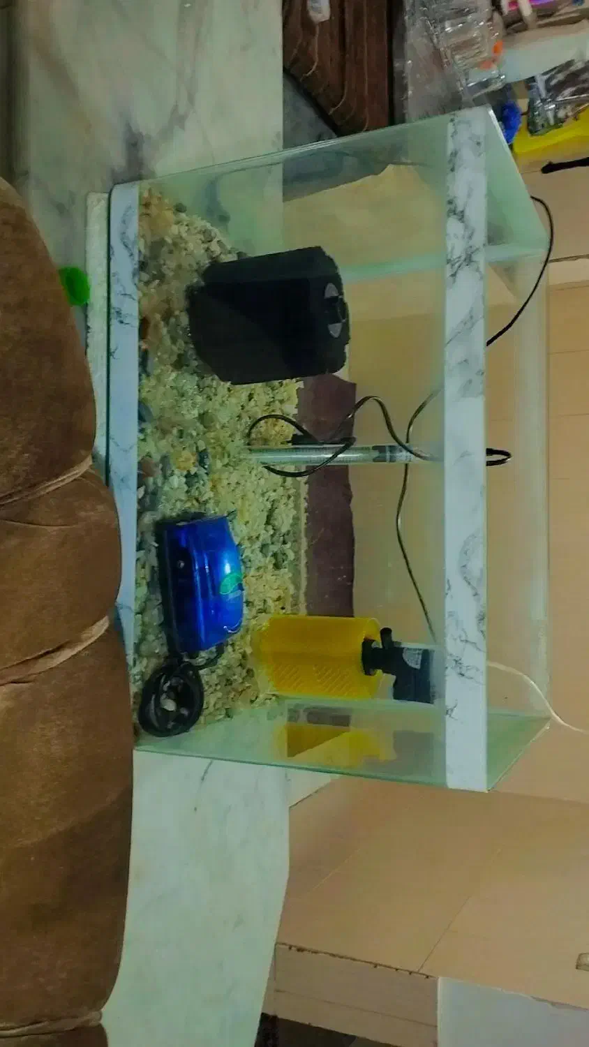 آکوریواریوم با تمام وسایل و ماهی گوشت خوار|ماهی|تبریز, |دیوار