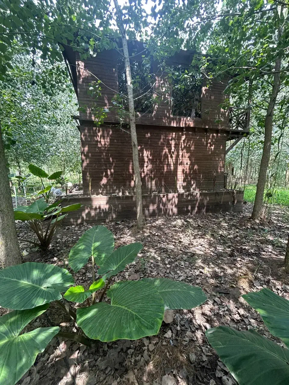 زندگی بین درخت وآب|فروش خانه و ویلا|بروجرد, |دیوار