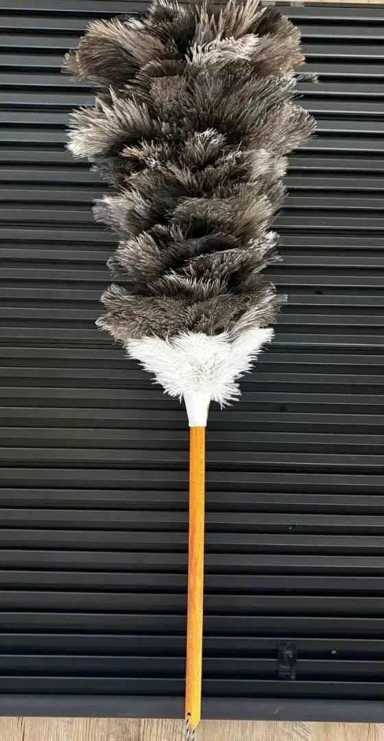 گردگیر شترمرغ عمده|لوازم نظافت|بانه, |دیوار