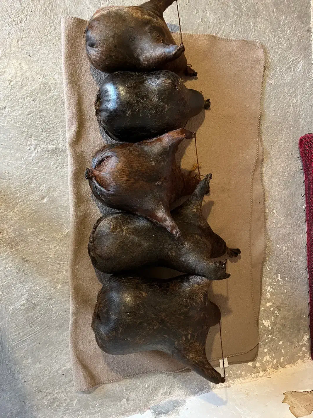 هیزه|صنایع دستی و سایر لوازم تزئینی|کوهدشت, |دیوار