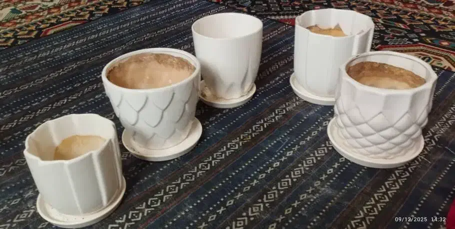 ۵عدد گلدون با سینی زیر|گل و گیاه طبیعی|سیرجان, |دیوار