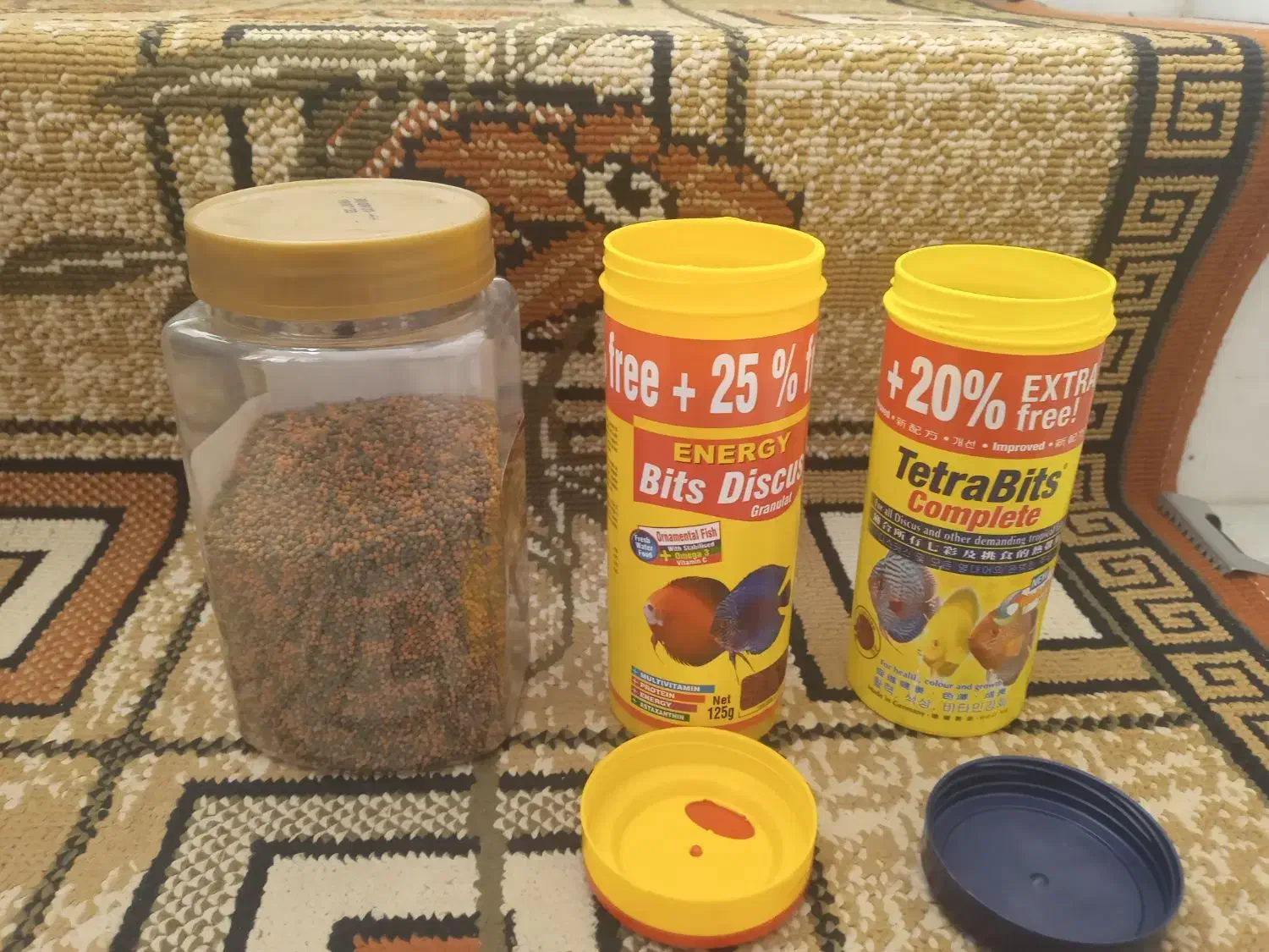 غذای ماهی|ماهی|قائن, |دیوار