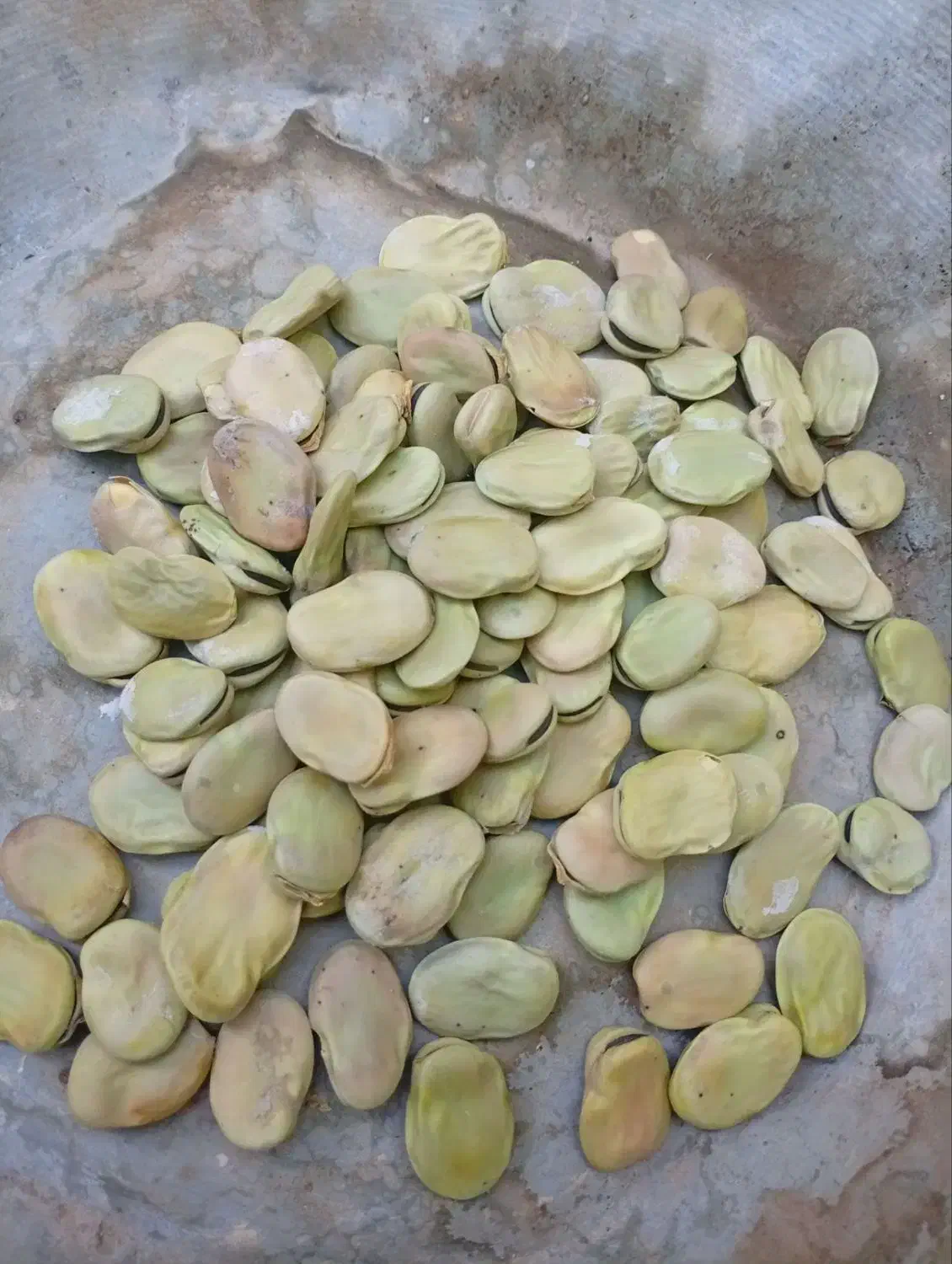 باقله بزری|خوردنی و آشامیدنی|بیستون, |دیوار