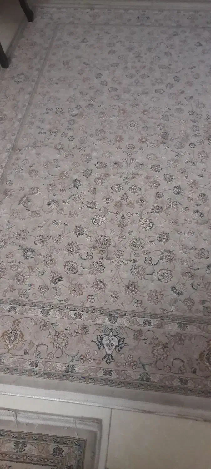 فرش بسیار زیبا و تمیز|فرش|پرند, فاز ۳|دیوار