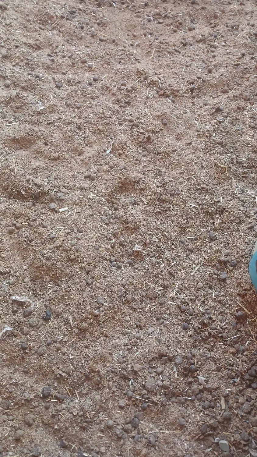 کود گوسفندی گونی|خدمات باغبانی و درختکاری|نجف‌آباد, دلگشا|دیوار